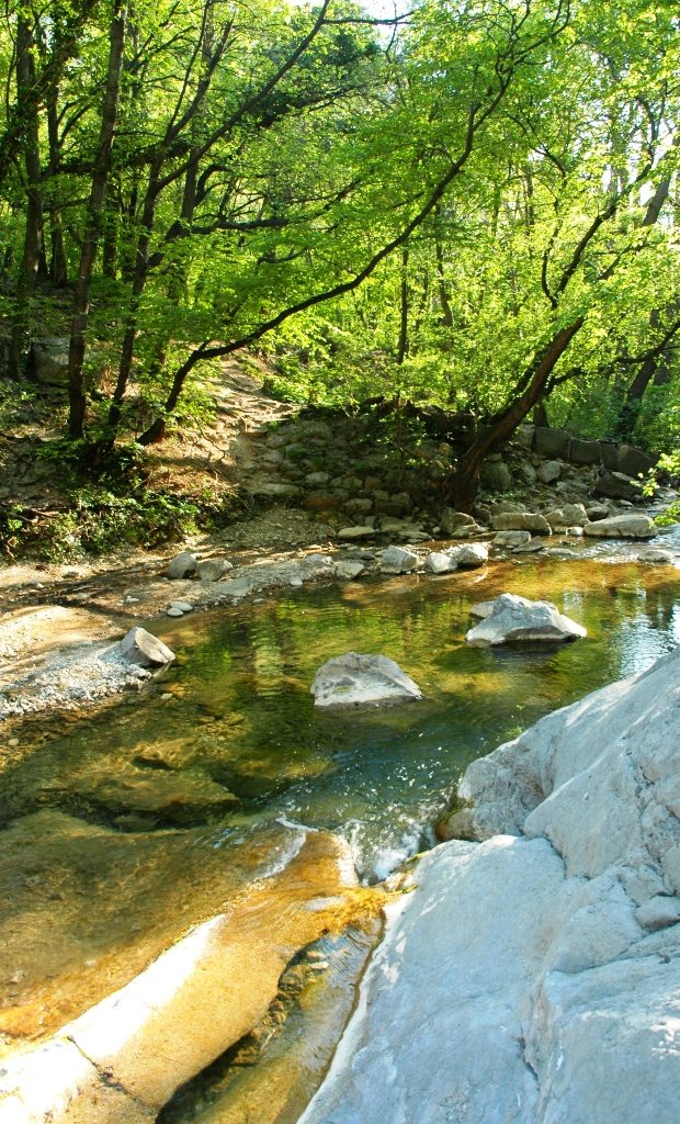 Val Rosandra by Max Manzin