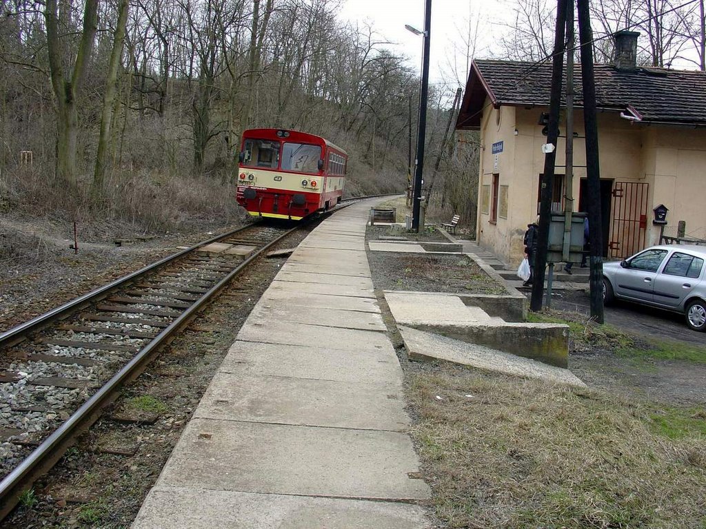 Vláček v holyňské idylce - Потяг у голиньскій ідилії. Прокопська долина, Прага by Oleksa Livinsky