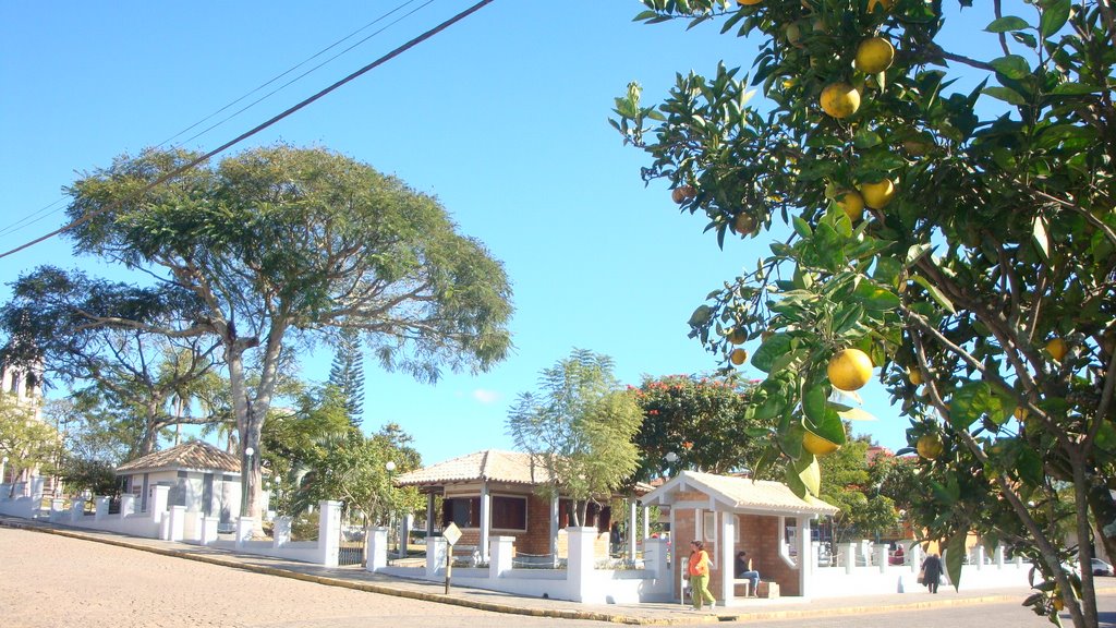 Frutíferas plantadas (orange) na via pública - Sentinela do Sul - RS - jun/2009 by Henrique de BORBA