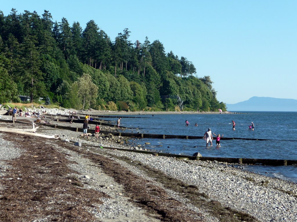 Summer Evening at Crescent Beach by dman91