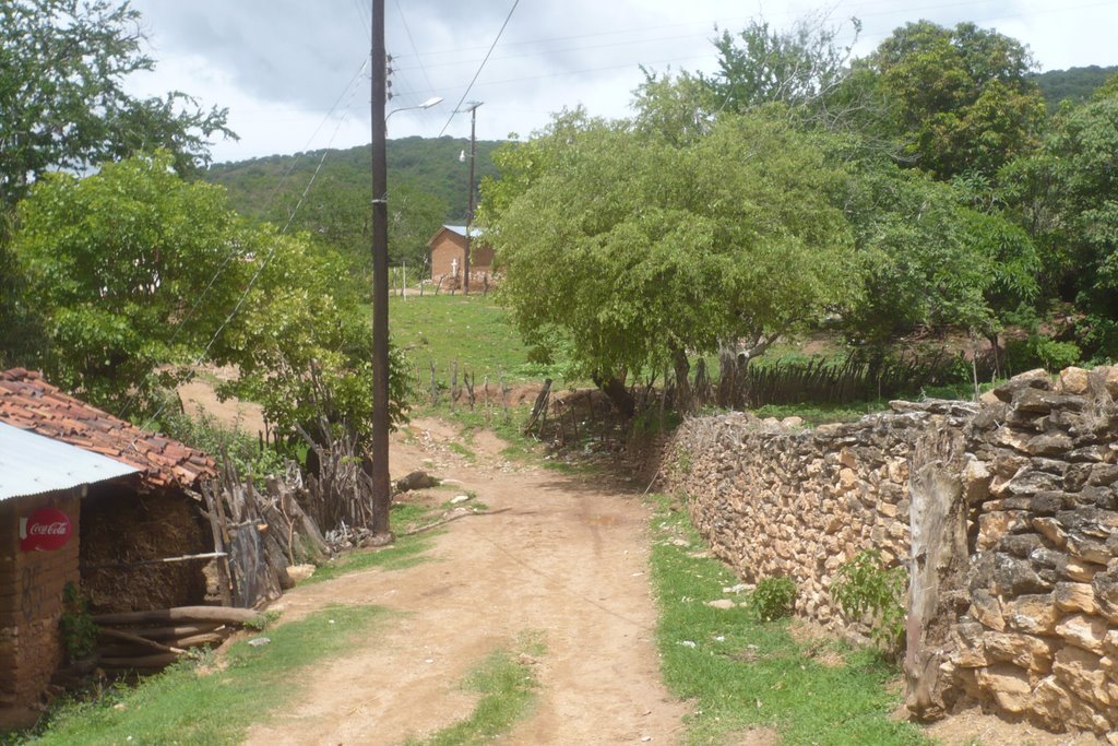 Ahuacuotzingo, Guerrero, Mexico by Heri P. Salazar