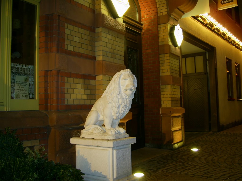 Das Leo in Mühlhausen by LeShakal