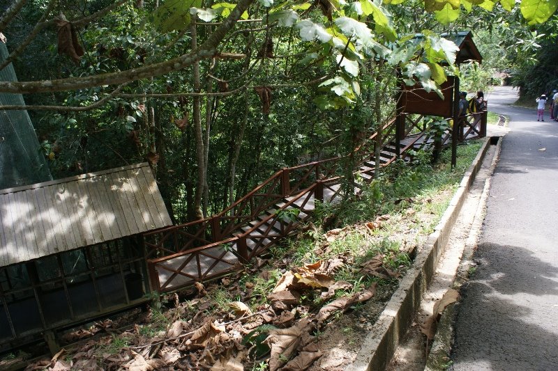 LOK KAWI WILDLIFE PARK by mohd salim yunus