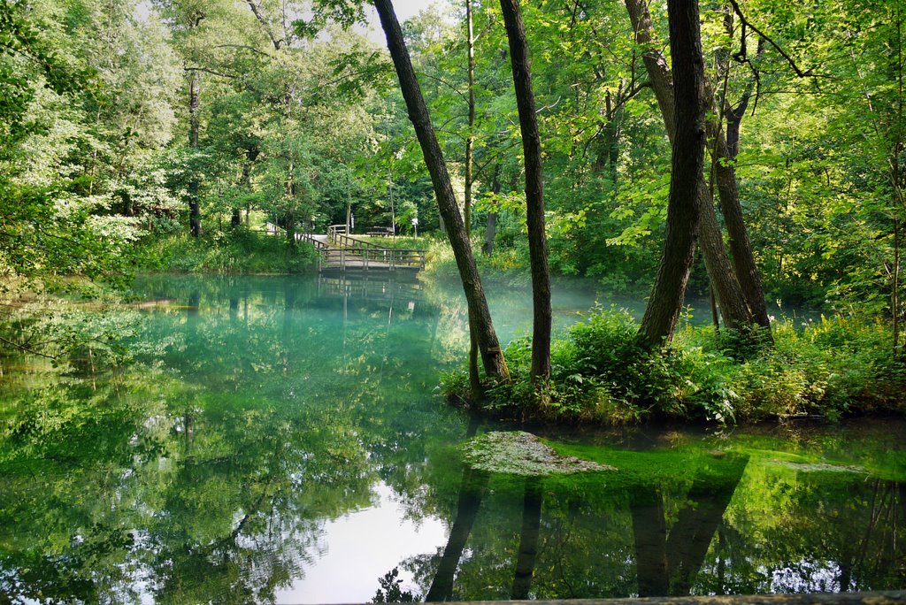 Herzberg - Pöhlde Rhumequelle - Die Rhumequelle ist Europas drittgrößte Quelle mit einem durchschnittlichen Wasserausstoß von 2500 Litern in der Sekunde by Wolfgang Spillner