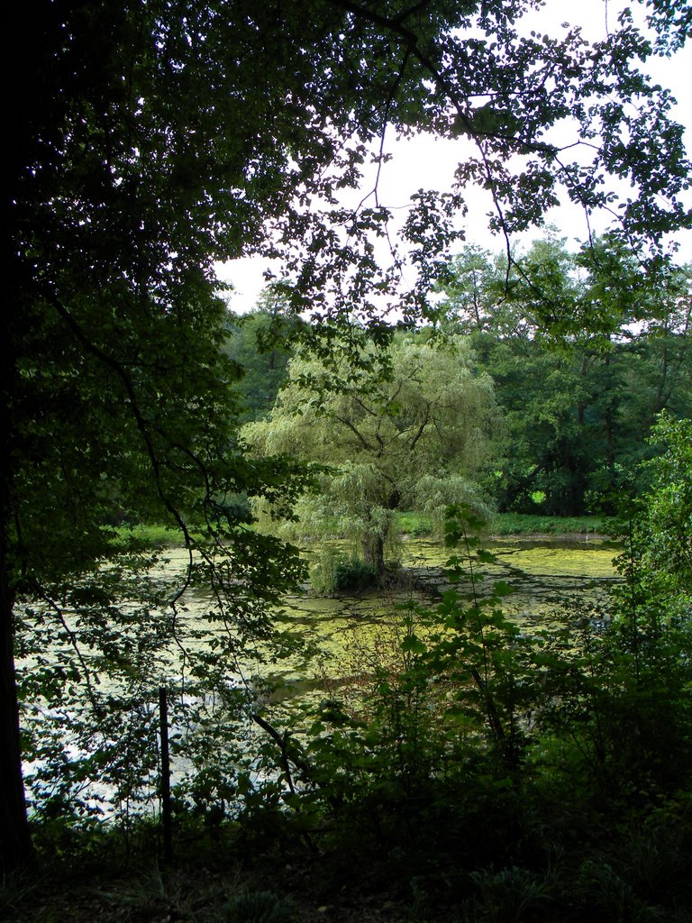 Baum im See - Neandertal by AudioNaUT