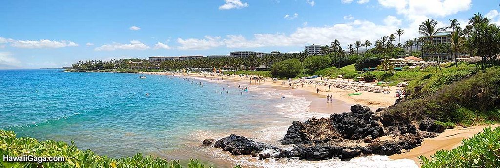 Wailea beach, Maui by Judi(L)