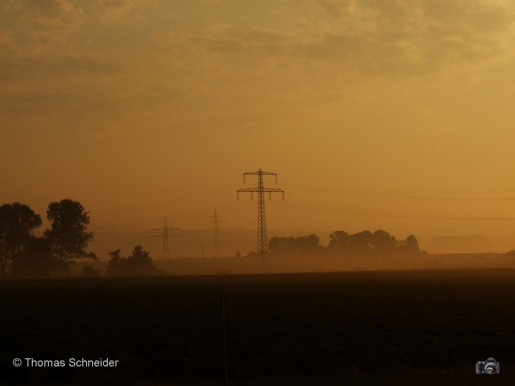 Morgens neben der Autobahn II by Thomas S. aus G.