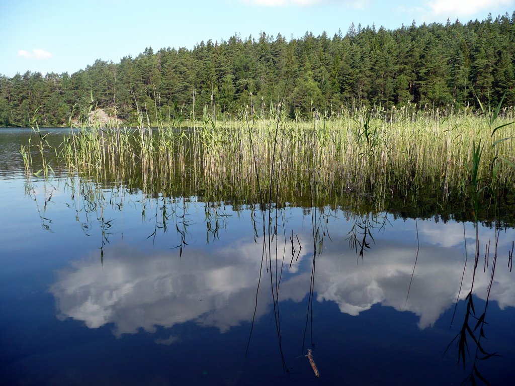 Kvarnsjön i Alingsås,Sweden,2009 by Despina Mousafiri