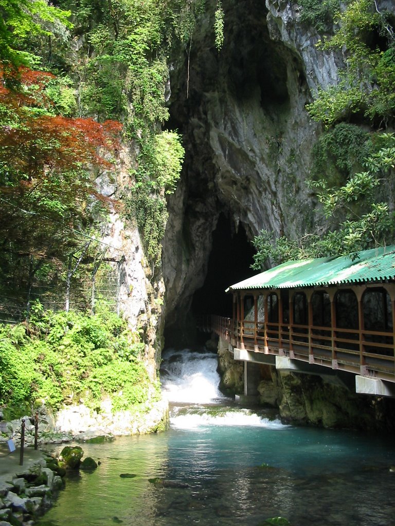 Akiyoshi-dou cave, 秋芳洞 by satoru_satoru