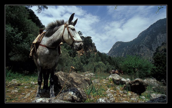 Gorges de Samaria by Christelle Despont