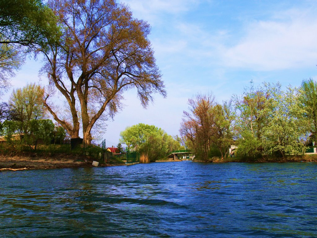 Stari Dunav/ Old Danube by Maric Ranko