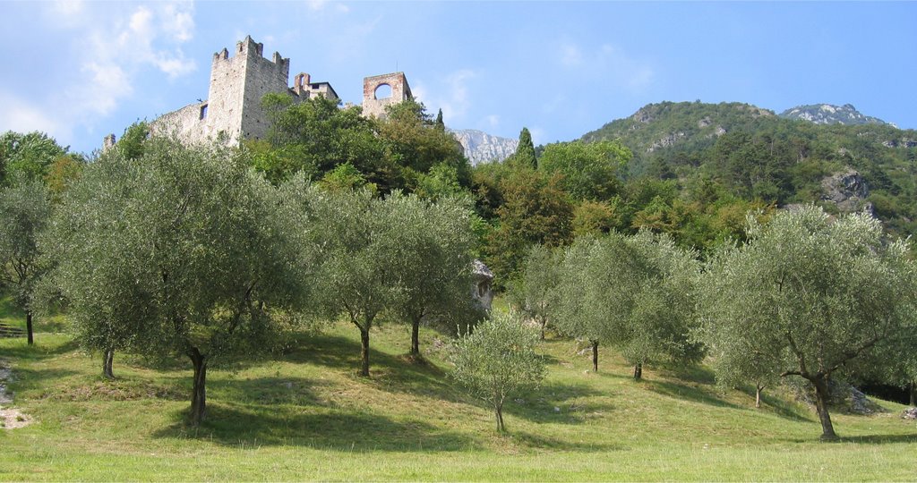 2004, Trentino, castello di Avio (o di Sabbionara) by Giovanni Mirgovi