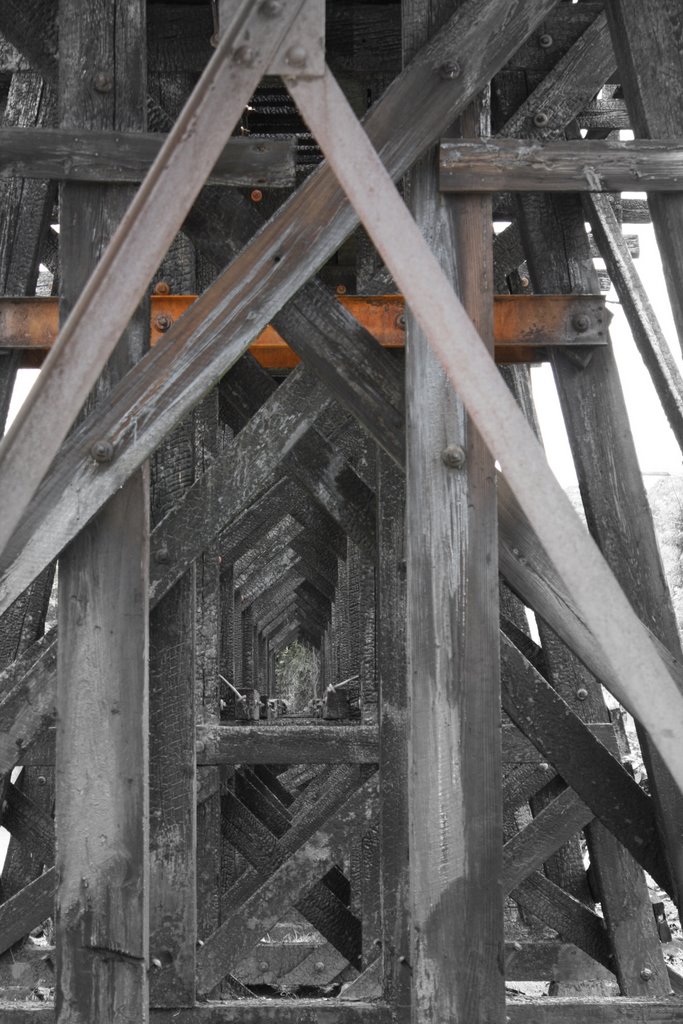 Rusted Railroad Bridge by B Humphreys