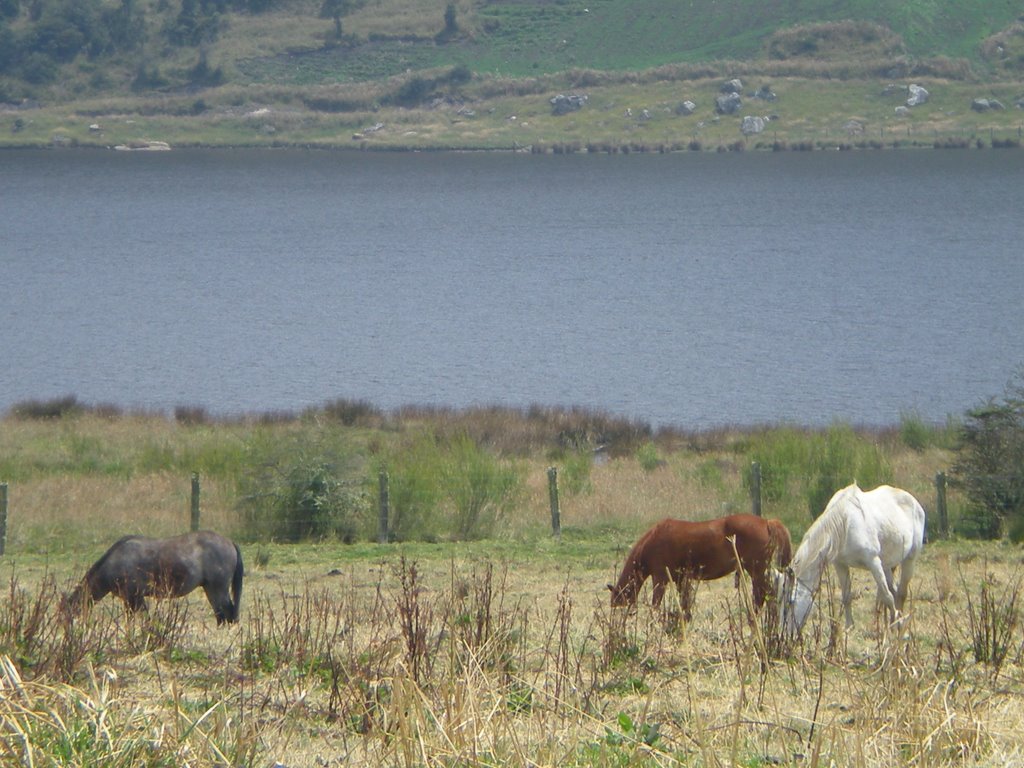 Represa pantano de arce subachoque by jorge eslava