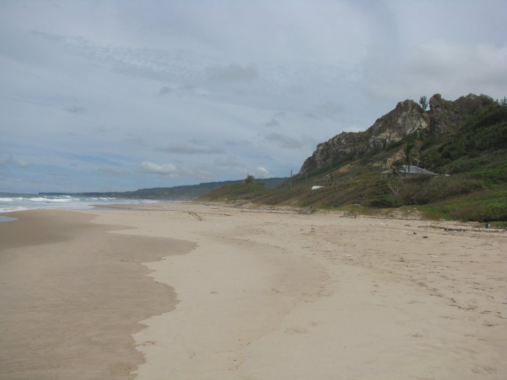 Barbados by agustin mantilla