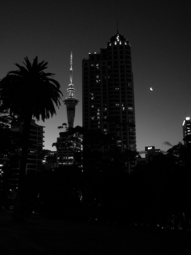 Auckland Sky Tower by night (black&white) by OLiwjeProd