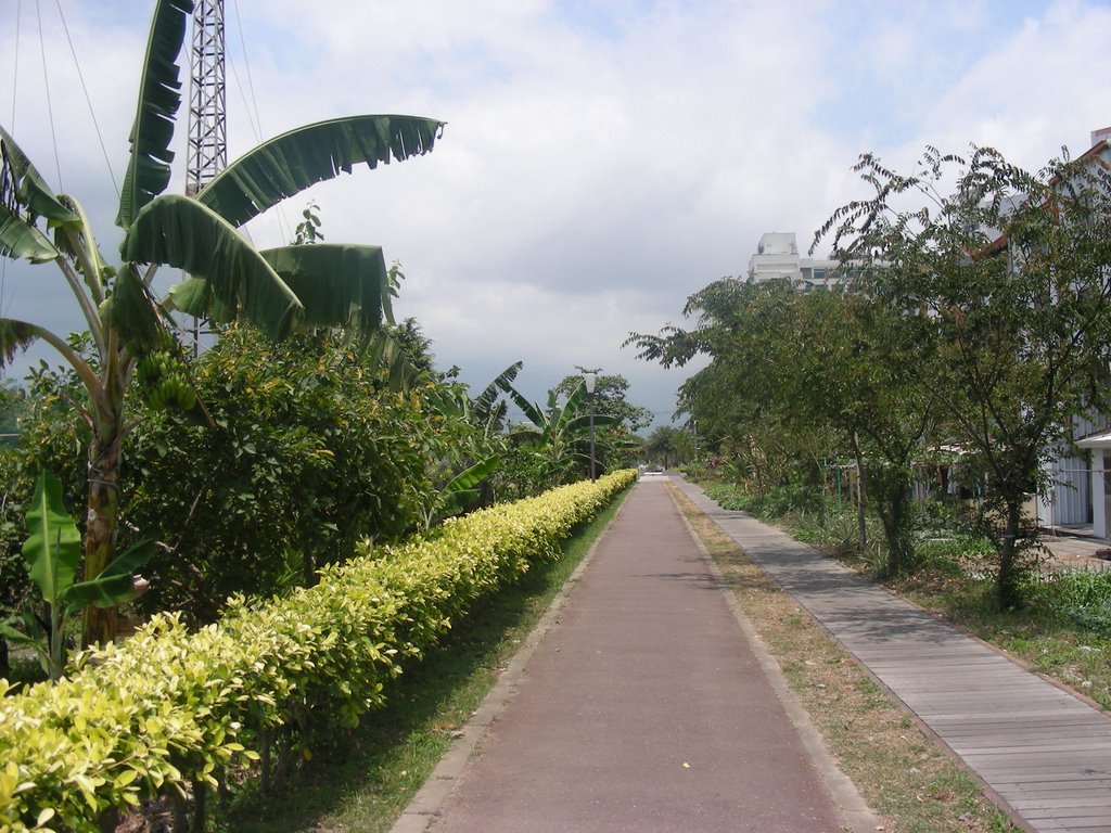 台東市自行車道，Taitung City Cycling Road by singhong