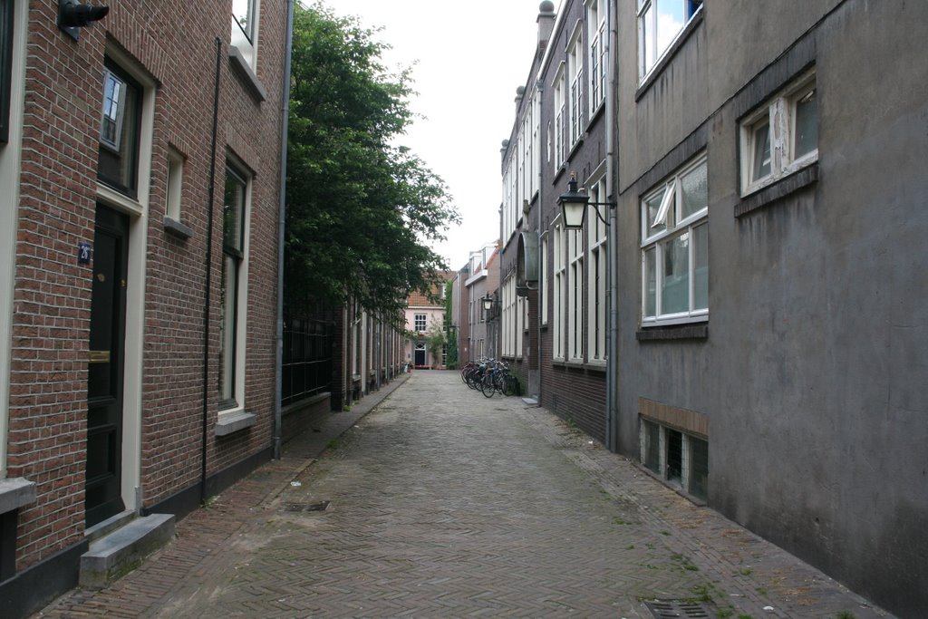 Alendorpstraat by Carl030nl