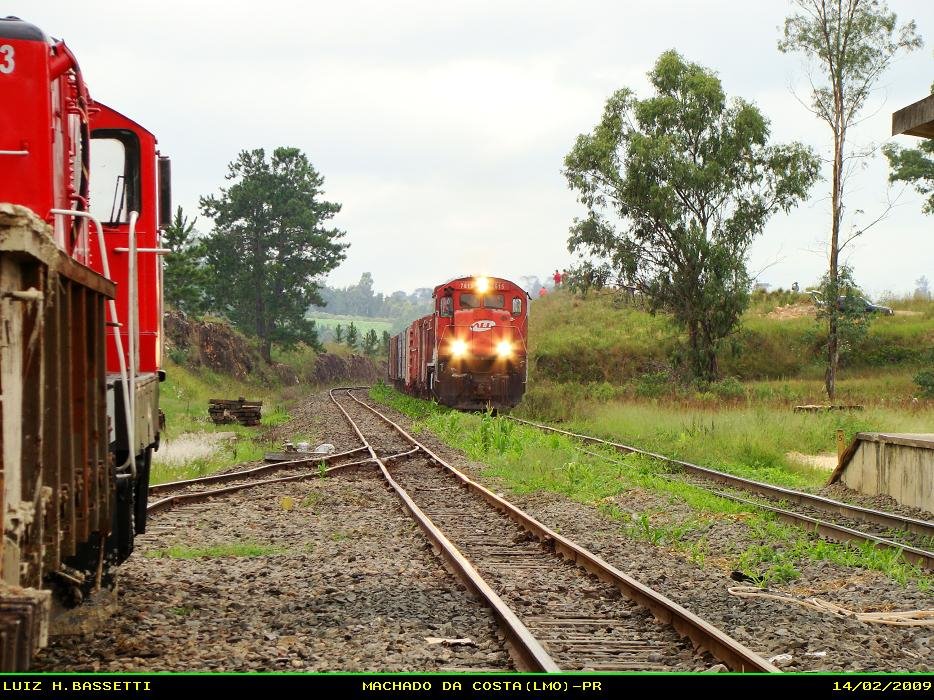 Trem em Machado da Costa by Luiz H. Bassetti