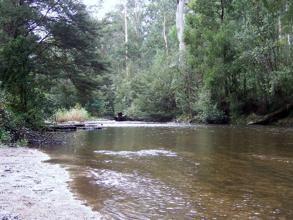 Latrobe River by Goldnbrownman