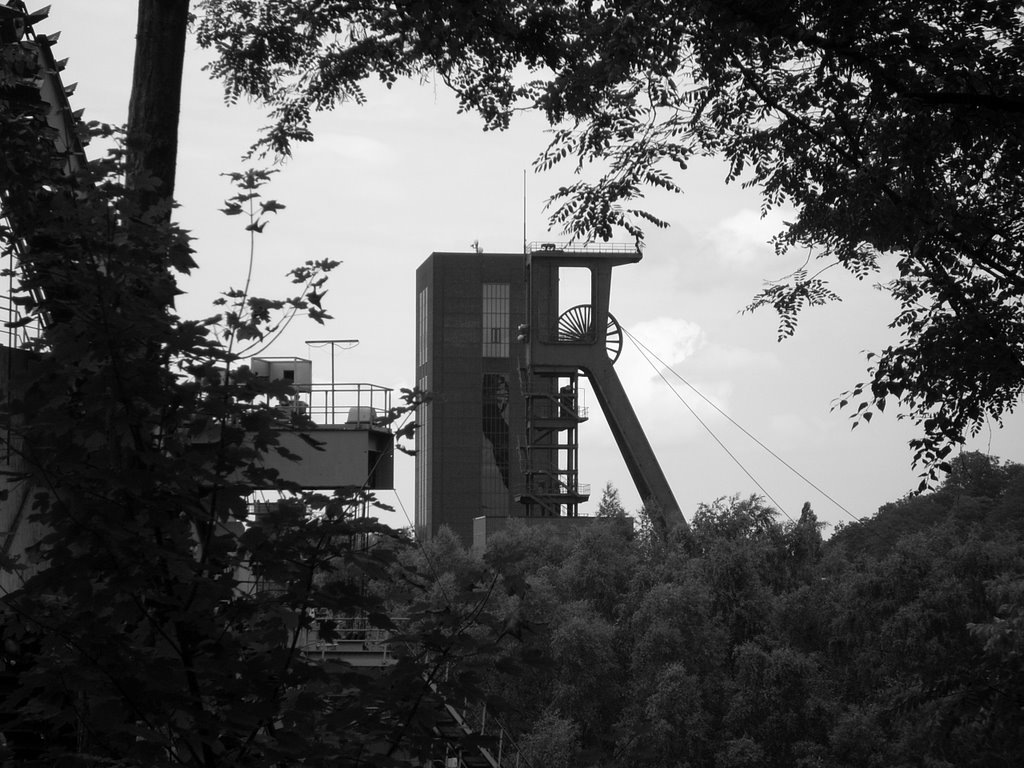 Essen-Katernberg ( Halde Zollverein / ehem. Zeche Zollverein 1/2/8 Schacht 8 / 2 ) Juni 2009 by DortmundWestfalica