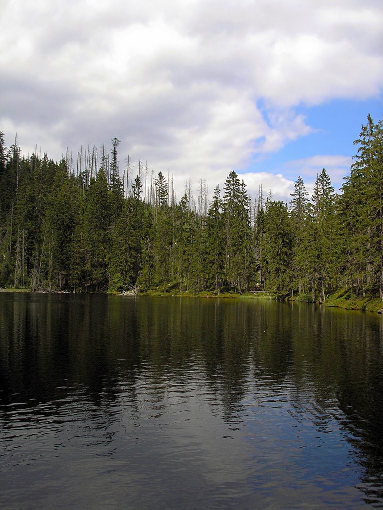 Prášilské jezero by Martin V.