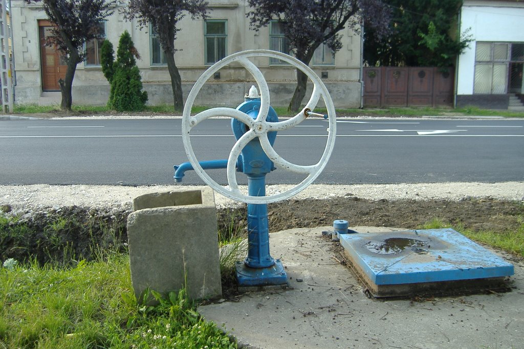 Utcai dísz - Street ornament by Kovács /Kari/ Károly