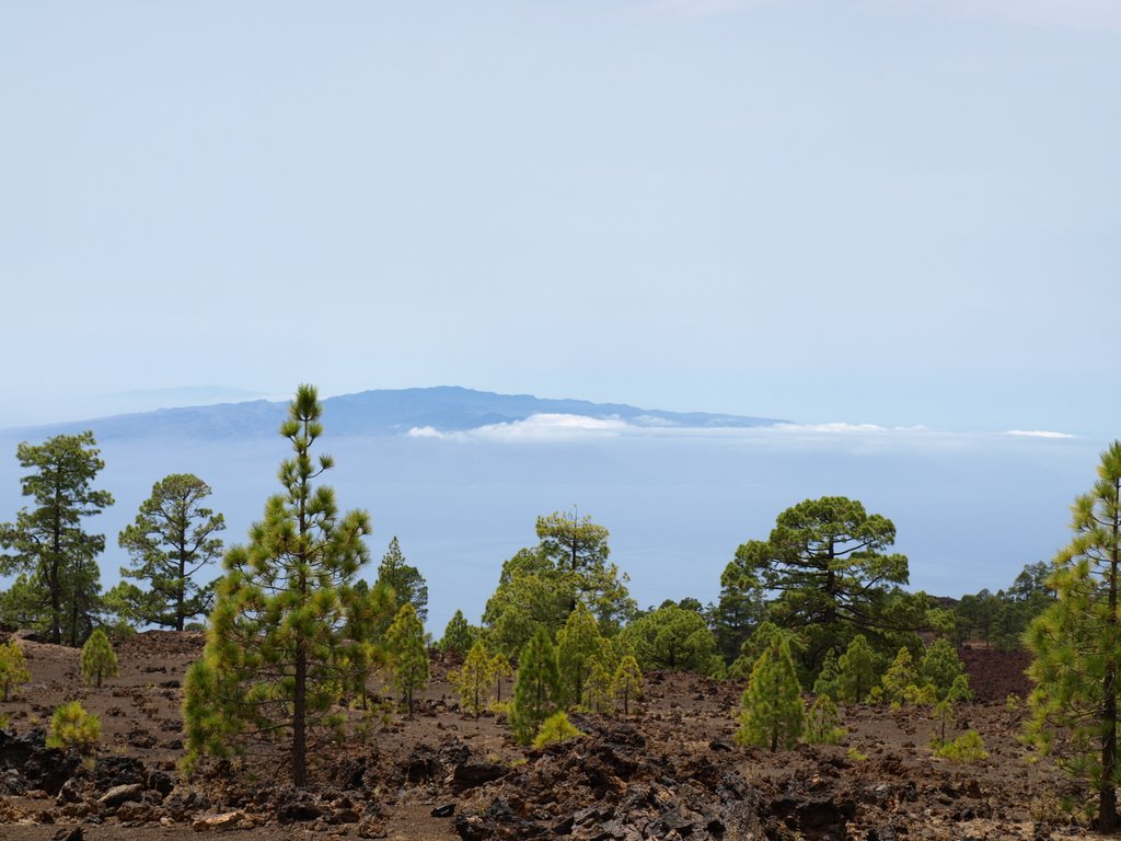 La palma by matteo666