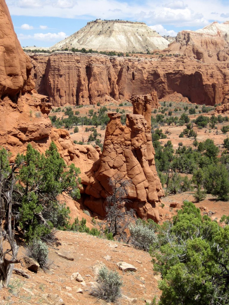 View From Panorama Point : Kodachrome S P, Utah by Peter Connolly