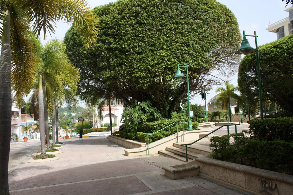 Plaza de Recreo de Guaynabo by Ricardo David Jusino