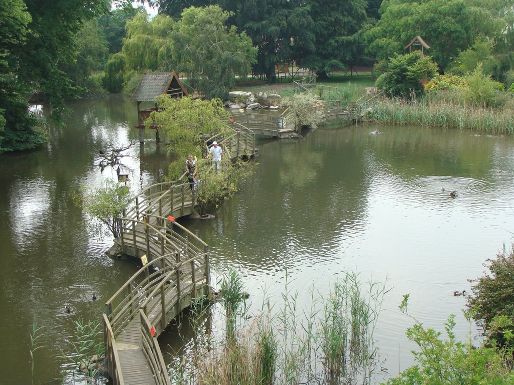 Thrigby Hall Lake 2 by G Lokey