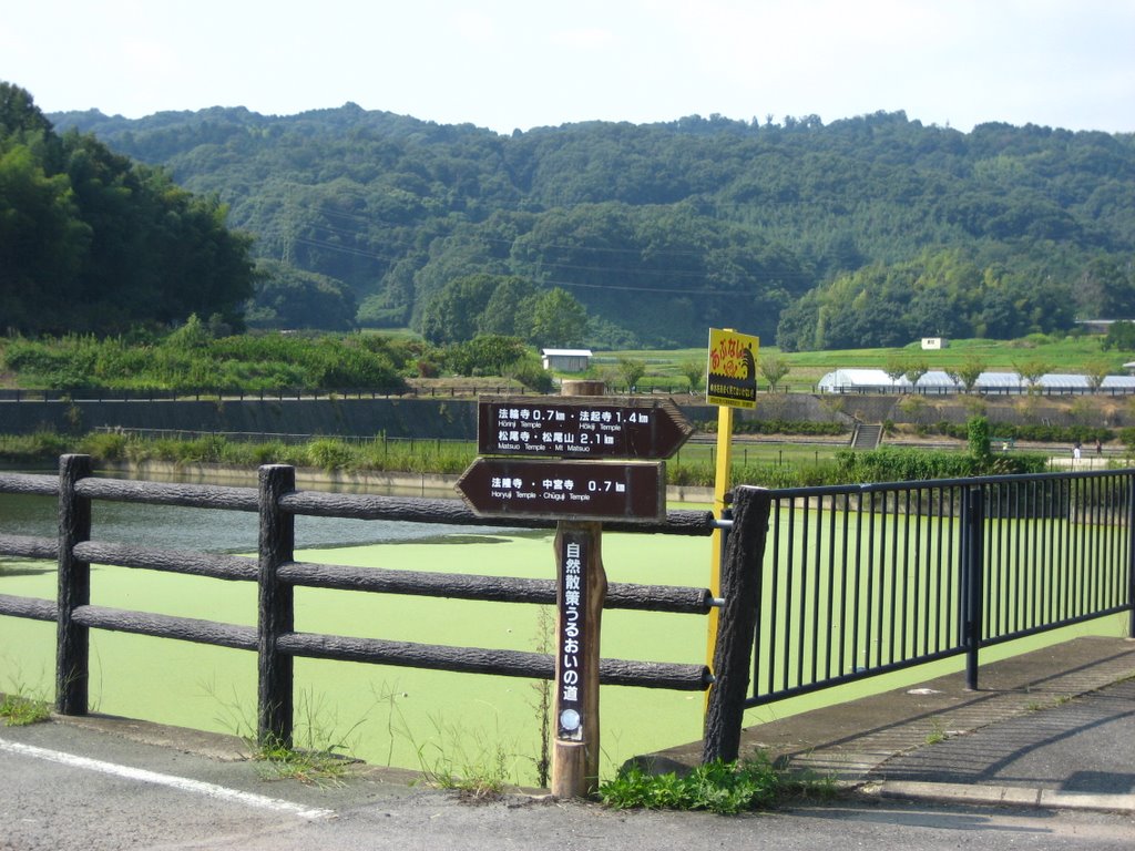 Nara-Nishinokyo-Ikaruga Bike Path by Nagono