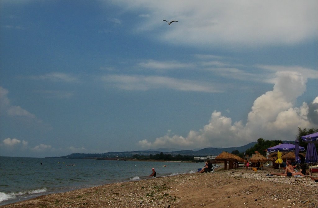 Beach near Alexandroupoli by REAKTOR