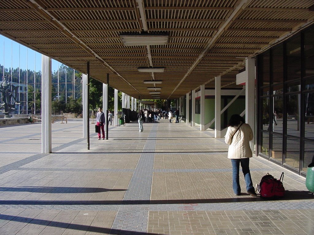 Corredor edificio de quimica by René Robles Moreno