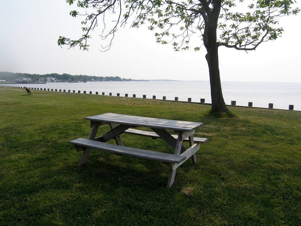 Table in the shade by MAL10587