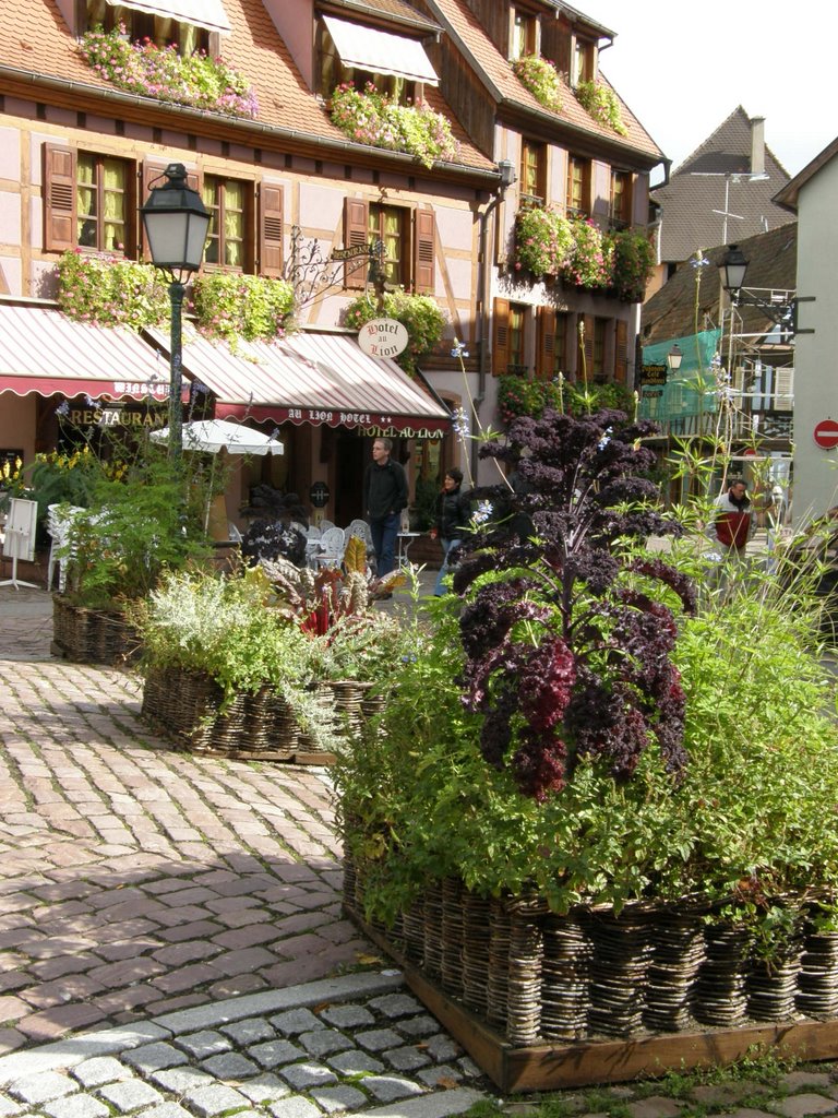 Flowers on and by Lion's hotel, Ribeauvillé, Alsace, France by MAPP HUDRANS