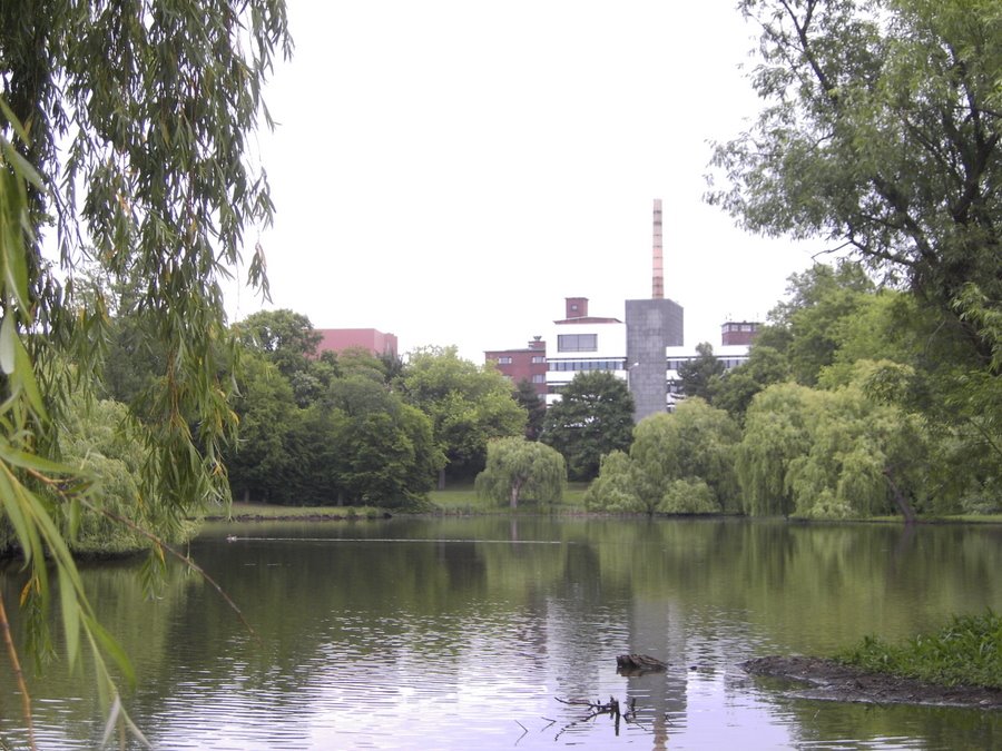 Teich im Bürgerpark mit Brauerei by Christian Drescher