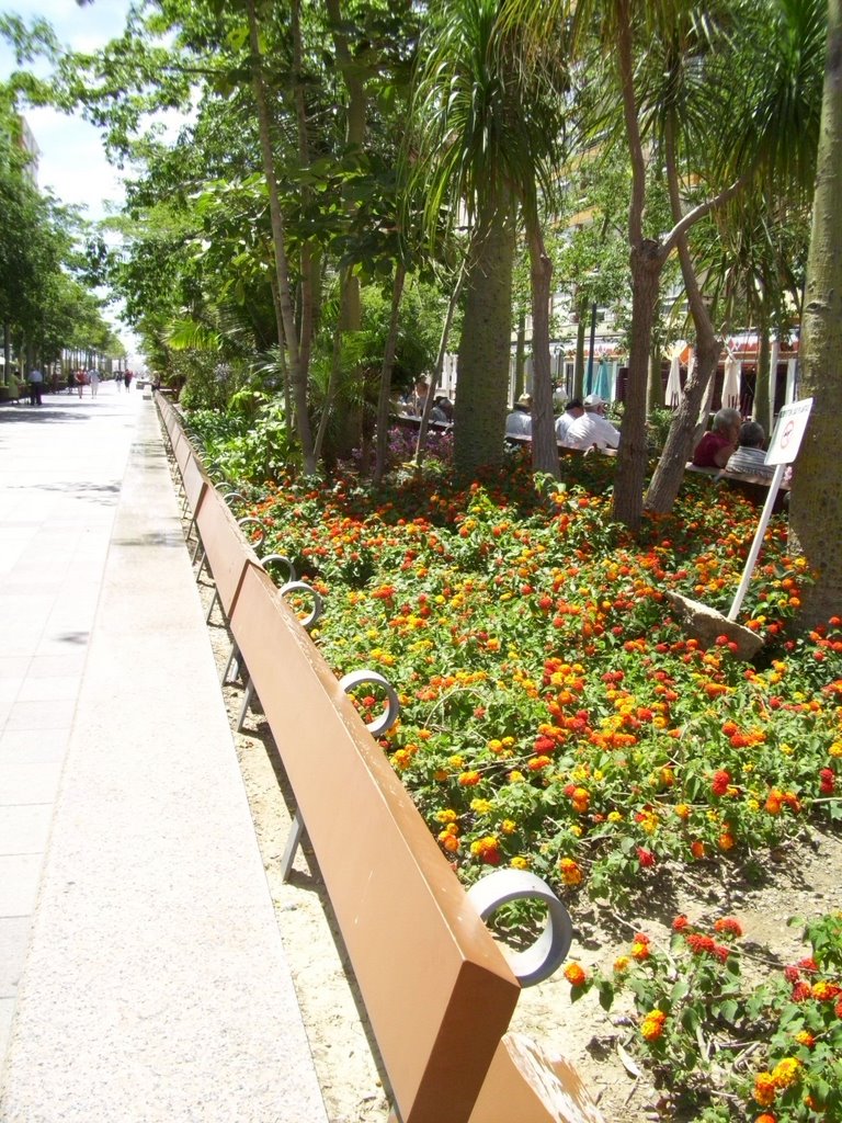 Paseo de Larios by Paco Letras