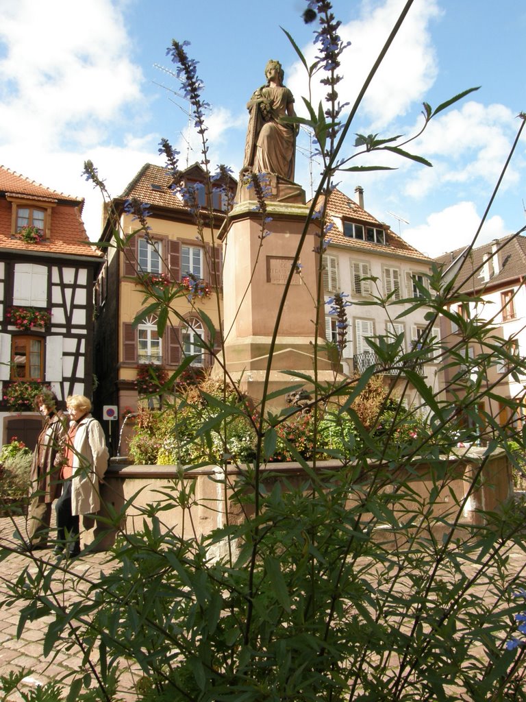 Through the flower, Ribeauvillé, Alsace, France by MAPP HUDRANS