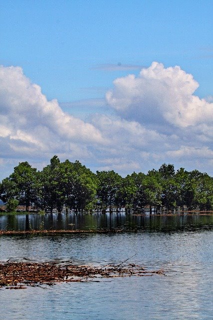 Suối Đá, Dương Minh Châu, Tây Ninh, Vietnam by Lê Thạnh Đức