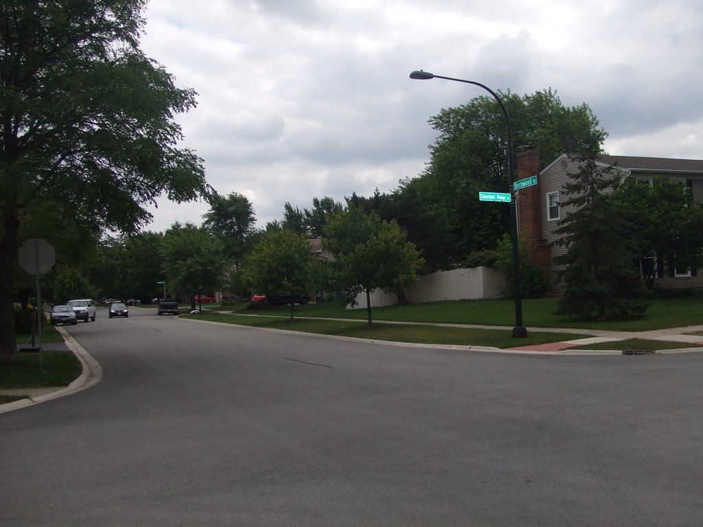 Chestnut Ridge and Birchwood Drive by dpociask