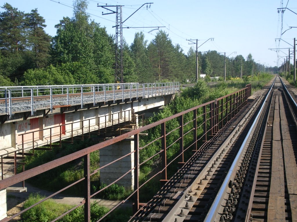 Ж/д мост/ Railroad bridge by Алексей Геннадьевич