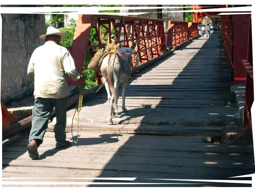 Arriero en el Puente de Tablas by Francis Morton & Co. Ltd. by Juan Tizcareño Iracheta