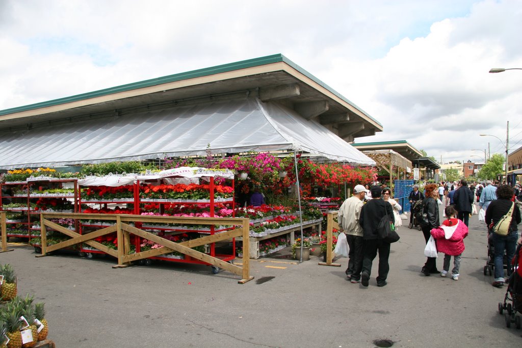 Jean Talon Market by longdistancer