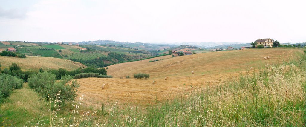 Appignano del Tronto, Valle San Martino: campi mietuti / Appignano del Tronto, Valle San Martino: harvested fields by panapp