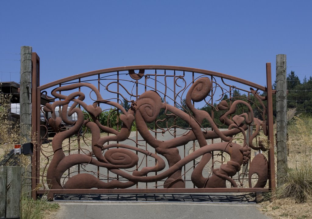 Gate at top of Mt Veeder Rd 6.28.09 by Jon Hutch