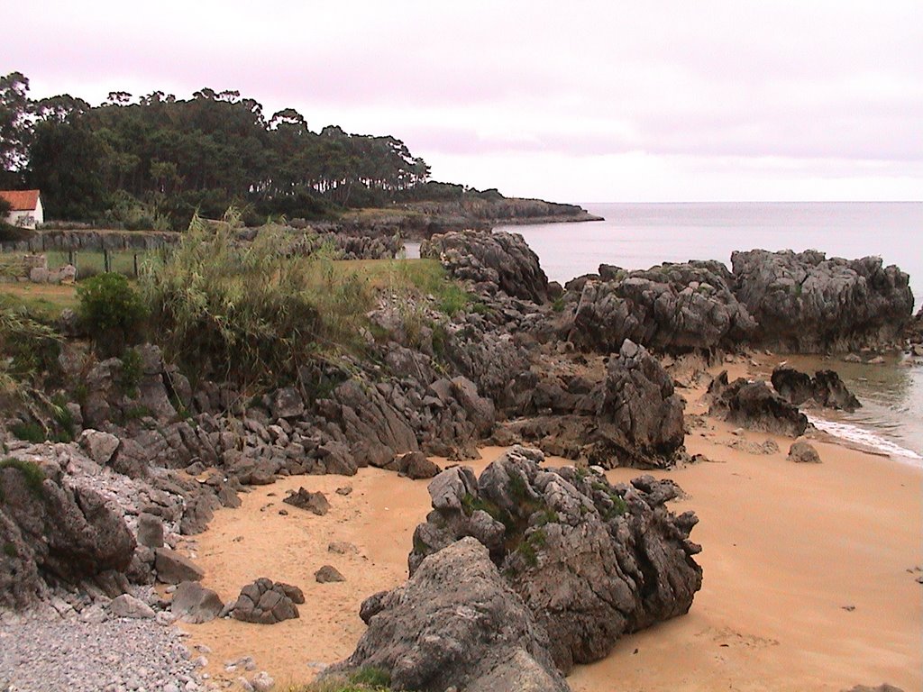 A orillas de la playa de Noja by Ricardo Fernández