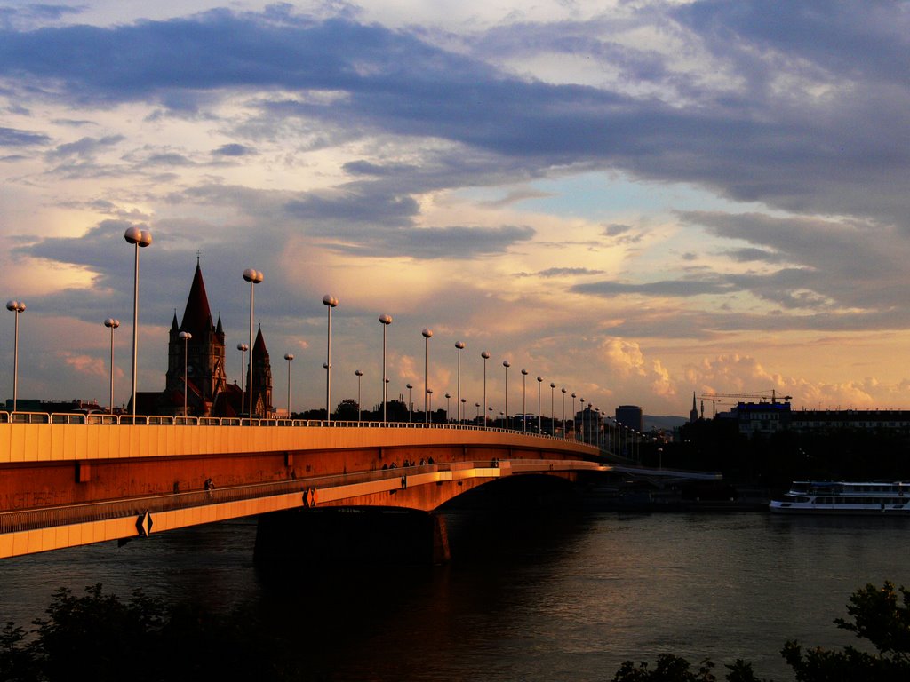 Reichsbrücke- Wien by Maric Ranko