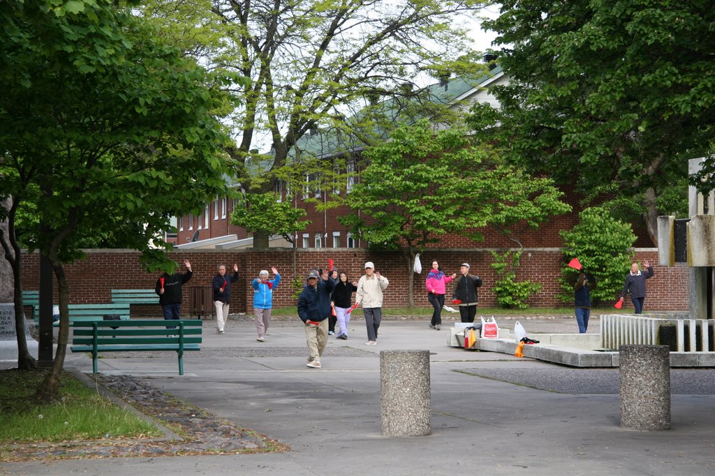 Morning Tai Chi exercise by longdistancer