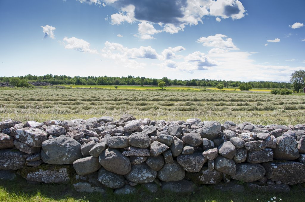 Gråborg by David Johansson